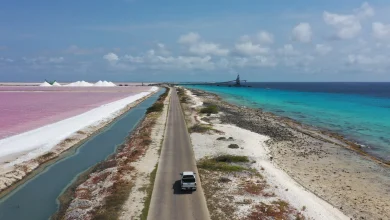 vervoer bonaire